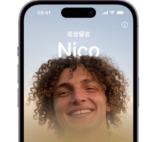 木里苹果15服务站分享iPhone15实时语音留言开启方法 