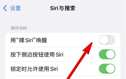 木里苹果13维修分享iPhone 13怎么唤醒 Siri  